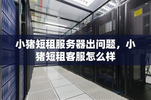 小猪短租服务器出问题，小猪短租客服怎么样