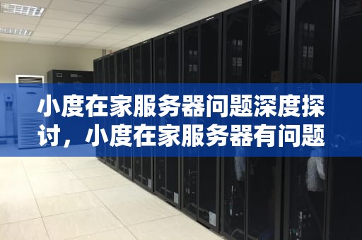 小度在家服务器问题深度探讨，小度在家服务器有问题怎么解决