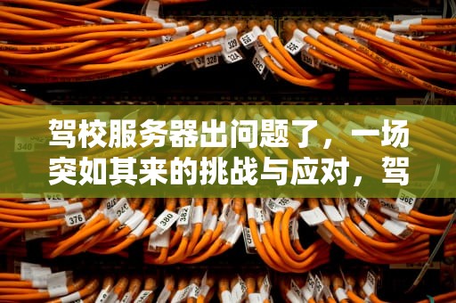 驾校服务器出问题了，一场突如其来的挑战与应对，驾校服务器出问题了怎么投诉