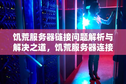 饥荒服务器链接问题解析与解决之道，饥荒服务器连接出错