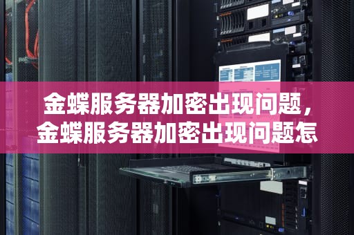 金蝶服务器加密出现问题，金蝶服务器加密出现问题怎么解决