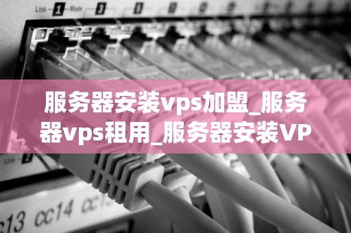 服务器安装vps加盟_服务器vps租用_服务器安装VPS加盟：开启您的网络业务新篇章