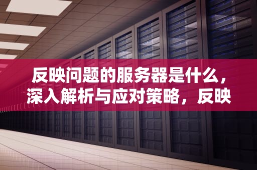 反映问题的服务器是什么，深入解析与应对策略，反映问题的服务器是什么意思