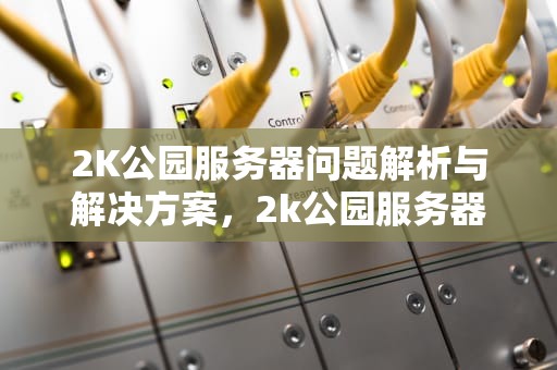2K公园服务器问题解析与解决方案，2k公园服务器问题怎么解决