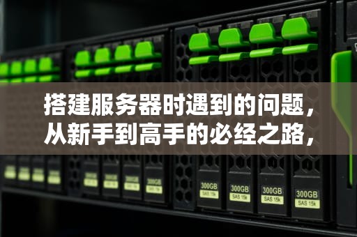 搭建服务器时遇到的问题，从新手到高手的必经之路，搭建服务器时遇到的问题有哪些