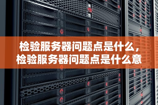检验服务器问题点是什么，检验服务器问题点是什么意思