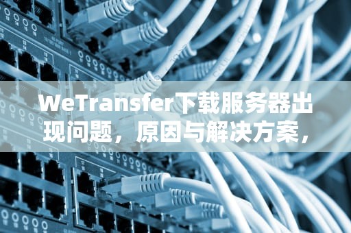 WeTransfer下载服务器出现问题，原因与解决方案，wecsee服务器错误