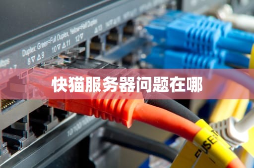 快猫服务器问题在哪