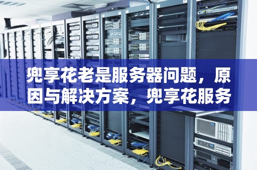 兜享花老是服务器问题，原因与解决方案，兜享花服务器异常