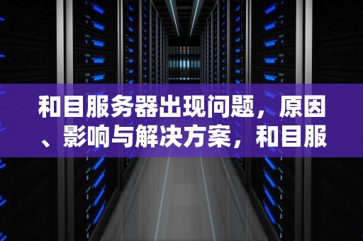 和目服务器出现问题，原因、影响与解决方案，和目服务器异常