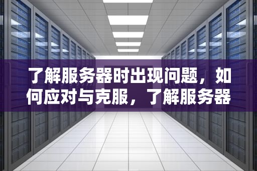 了解服务器时出现问题，如何应对与克服，了解服务器时出现问题怎么解决