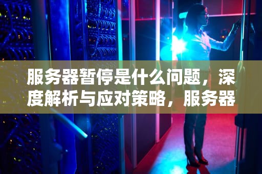 服务器暂停是什么问题，深度解析与应对策略，服务器暂停是什么问题啊