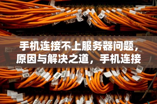 手机连接不上服务器问题，原因与解决之道，手机连接不上服务器问题怎么解决