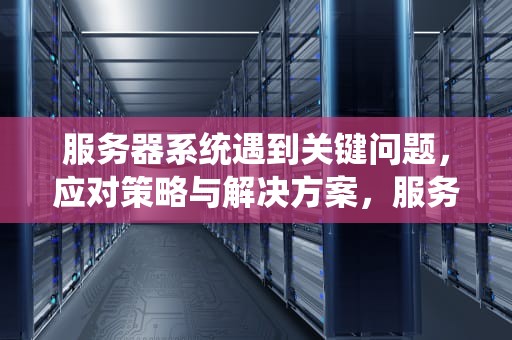 服务器系统遇到关键问题，应对策略与解决方案，服务器系统遇到关键问题怎么解决