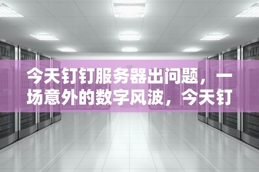 今天钉钉服务器出问题，一场意外的数字风波，今天钉钉服务器出问题怎么办