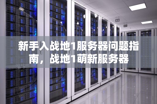 新手入战地1服务器问题指南，战地1萌新服务器