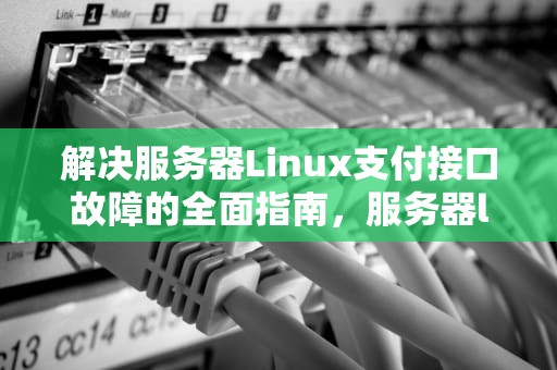解决服务器Linux支付接口故障的全面指南，服务器linux支付接口有问题怎么解决