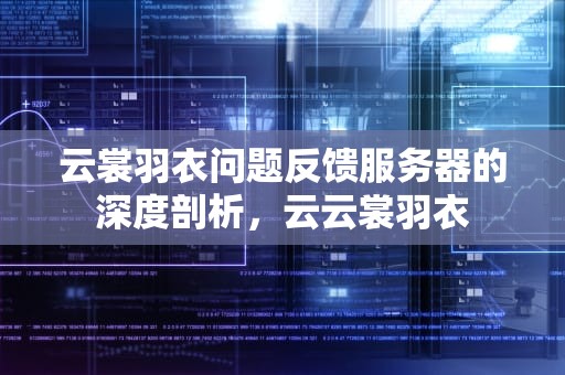 云裳羽衣问题反馈服务器的深度剖析，云云裳羽衣