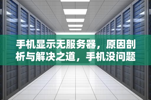 手机显示无服务器，原因剖析与解决之道，手机没问题显示无服务器怎么回事