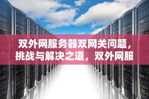 双外网服务器双网关问题，挑战与解决之道，双外网服务器双网关问题怎么解决