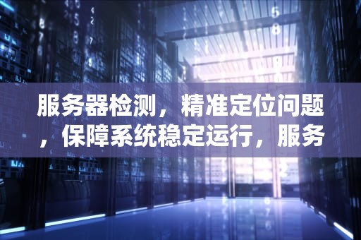 服务器检测，精准定位问题，保障系统稳定运行，服务器检测是什么问题啊