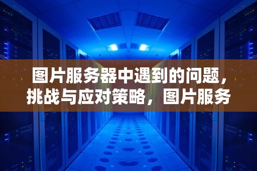 图片服务器中遇到的问题，挑战与应对策略，图片服务器中遇到的问题有哪些