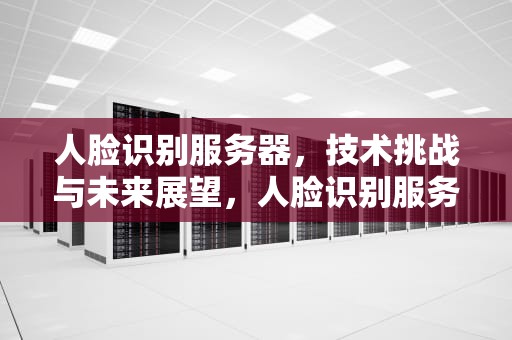 人脸识别服务器，技术挑战与未来展望，人脸识别服务器有问题吗怎么解决