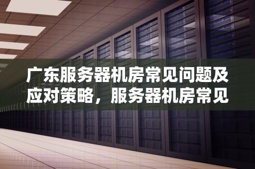 广东服务器机房常见问题及应对策略，服务器机房常见故障
