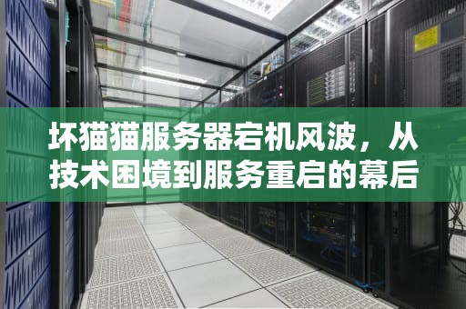 坏猫猫服务器宕机风波，从技术困境到服务重启的幕后之旅，坏猫猫服务器出现问题怎么办