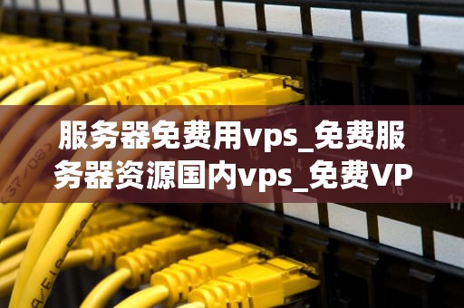 服务器免费用vps_免费服务器资源国内vps_免费VPS服务器的探索与应用