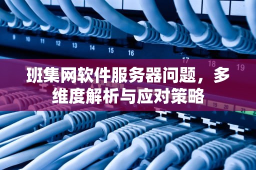 班集网软件服务器问题，多维度解析与应对策略