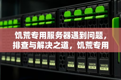 饥荒专用服务器遇到问题，排查与解决之道，饥荒专用服务器有点问题
