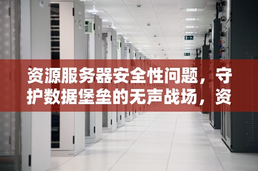 资源服务器安全性问题，守护数据堡垒的无声战场，资源服务器安全性问题有哪些