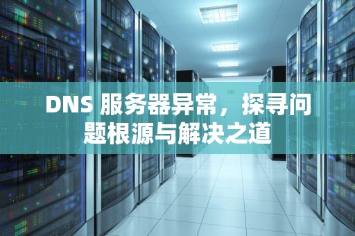 DNS 服务器异常，探寻问题根源与解决之道