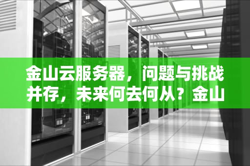 金山云服务器，问题与挑战并存，未来何去何从？金山云 服务器