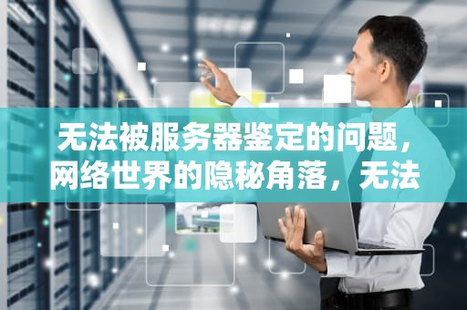 无法被服务器鉴定的问题，网络世界的隐秘角落，无法被服务器鉴定的问题有哪些