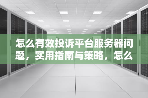 怎么有效投诉平台服务器问题，实用指南与策略，怎么投诉平台服务器问题最有效