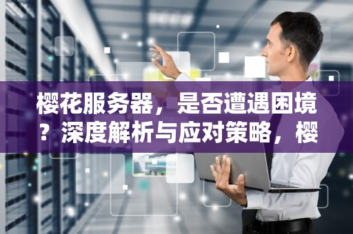 樱花服务器，是否遭遇困境？深度解析与应对策略，樱花服务器出问题了吗知乎