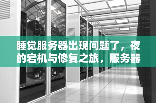 睡觉服务器出现问题了，夜的宕机与修复之旅，服务器睡着了什么意思