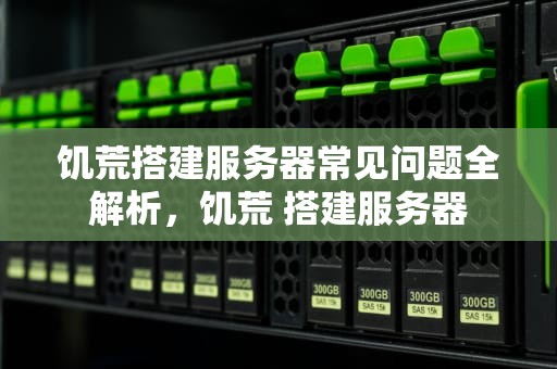 饥荒搭建服务器常见问题全解析，饥荒 搭建服务器