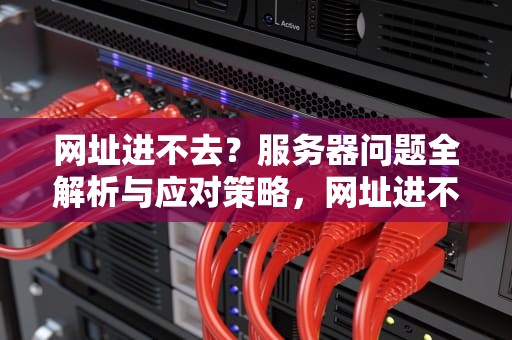 网址进不去？服务器问题全解析与应对策略，网址进不去服务器有问题怎么办