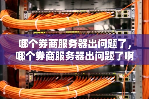 哪个券商服务器出问题了，哪个券商服务器出问题了啊