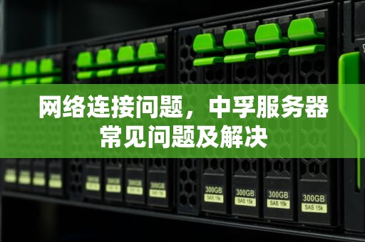 网络连接问题，中孚服务器常见问题及解决