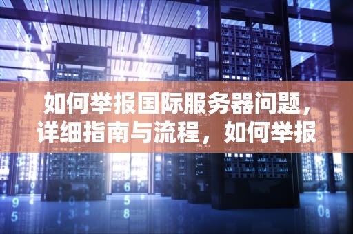 如何举报国际服务器问题，详细指南与流程，如何举报国际服务器问题最有效