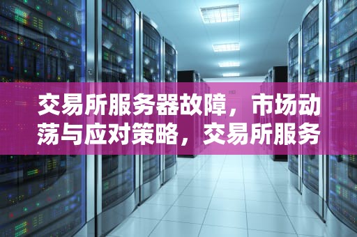 交易所服务器故障，市场动荡与应对策略，交易所服务器出问题怎么办