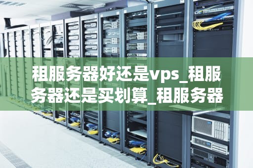 租服务器好还是vps_租服务器还是买划算_租服务器与VPS：哪个更适合你的需求？