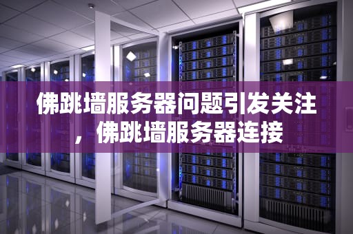 佛跳墙服务器问题引发关注，佛跳墙服务器连接