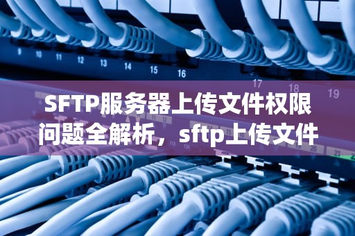 SFTP服务器上传文件权限问题全解析，sftp上传文件的权限