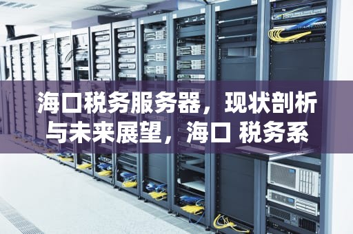 海口税务服务器，现状剖析与未来展望，海口 税务系统