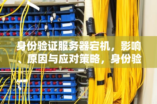 身份验证服务器宕机，影响、原因与应对策略，身份验证服务器宕机问题怎么解决